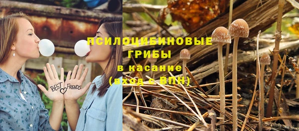 ГАЛЛЮЦИНОГЕННЫЕ ГРИБЫ Покачи