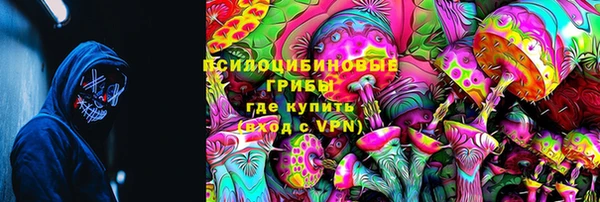 ГАЛЛЮЦИНОГЕННЫЕ ГРИБЫ Покачи