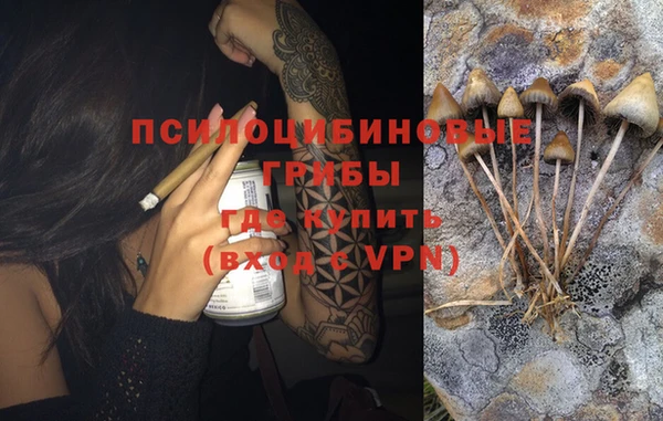 ГАЛЛЮЦИНОГЕННЫЕ ГРИБЫ Покачи