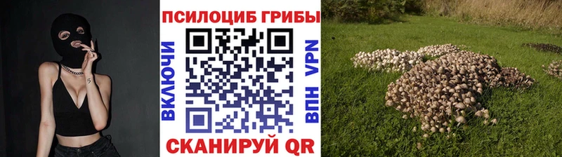 Псилоцибиновые грибы GOLDEN TEACHER  Усолье 